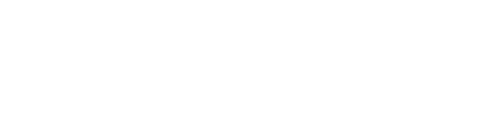 Viator logo